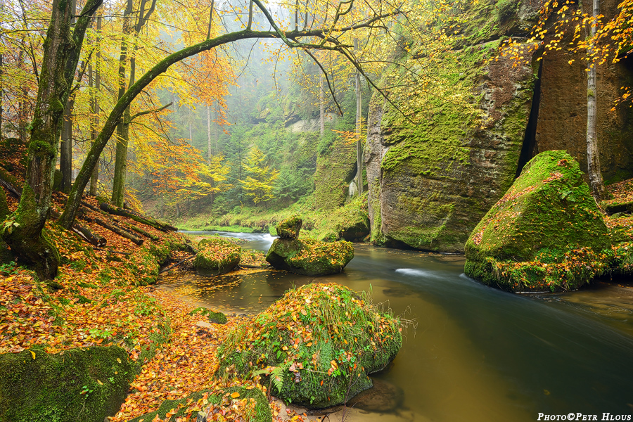 Kamenice