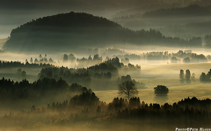 Krajina mlh