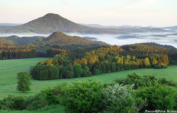 Růžovský vrch