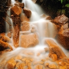 Hřensko - vody devonských vápenců | fotografie