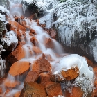 Hřensko - vody devonských vápenců | fotografie