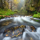 Kamenice | fotografie