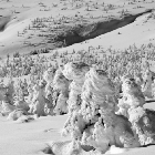 Krkonošská zima | fotografie