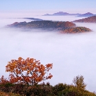 Lužické hory pod mlhou | fotografie