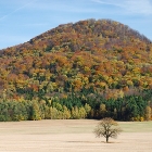 Rosy Hill (Ruzovsky vrch) | photography