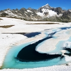 Schwärziseeli 2650m v červenci | fotografie