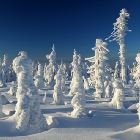 Zima v Jizerských horách | fotografie
